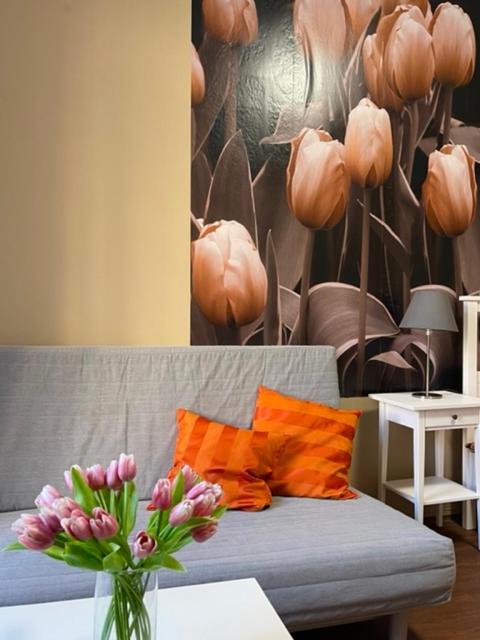 Apartman Galerie Decin Extérieur photo